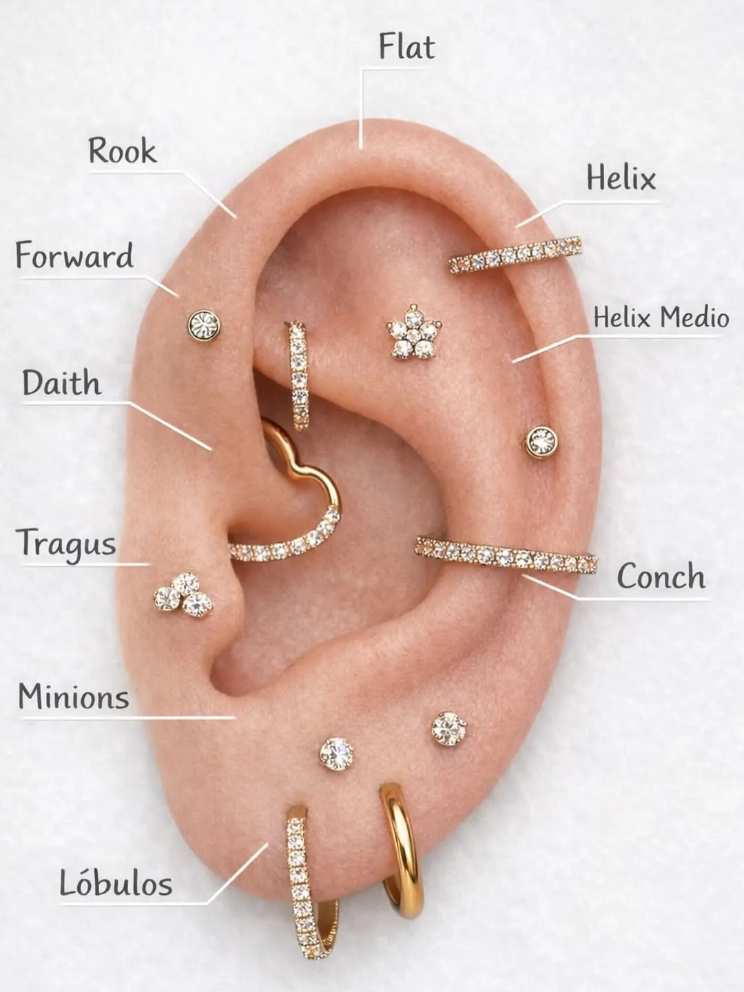 Mapa da orelha com os locais de furo: lóbulo, minions, tragus, daith, conch, rook, forward, flat e helix
