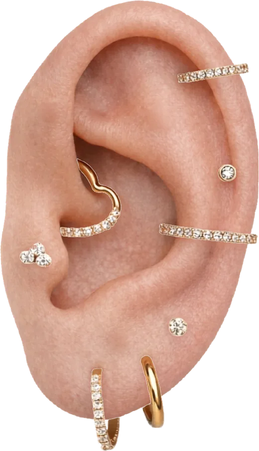 Orelha com vários piercings combinando joias