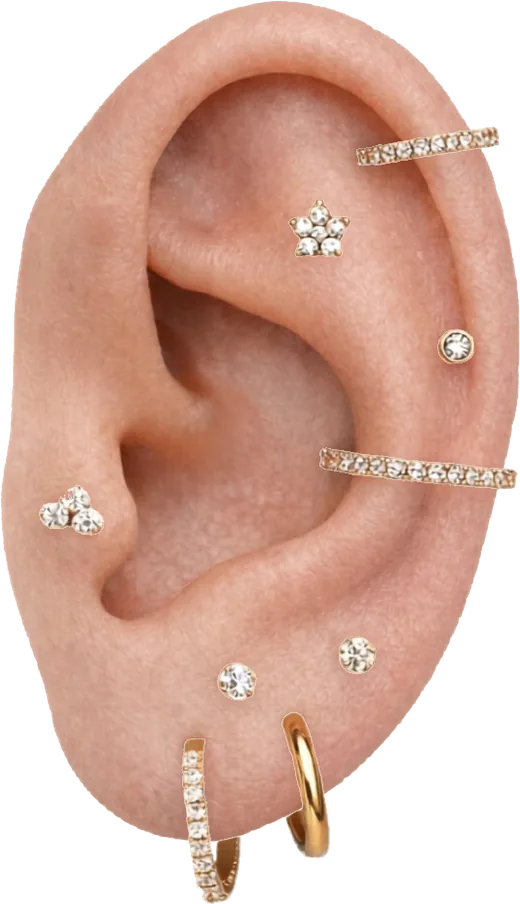 Orelha com composição de piercings e argolas